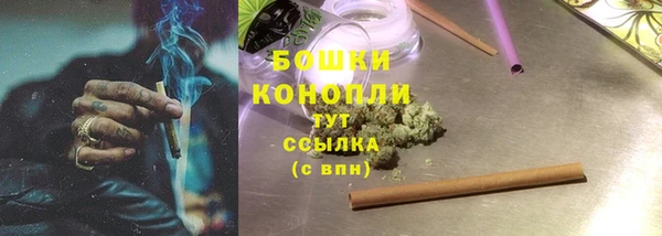 ПСИЛОЦИБИНОВЫЕ ГРИБЫ Киренск