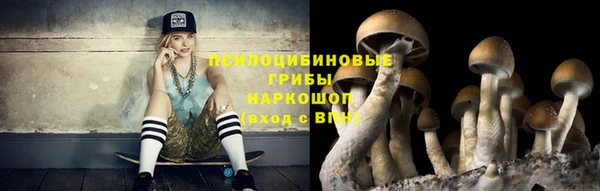 твердый Кодинск